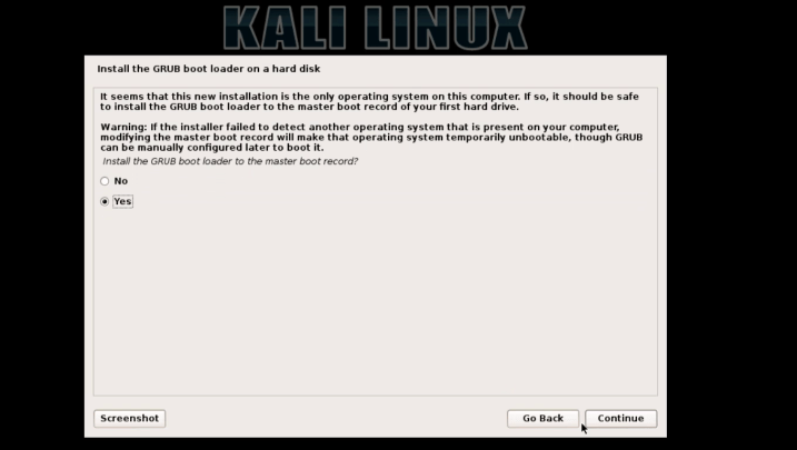 Kali Linux Installation Process