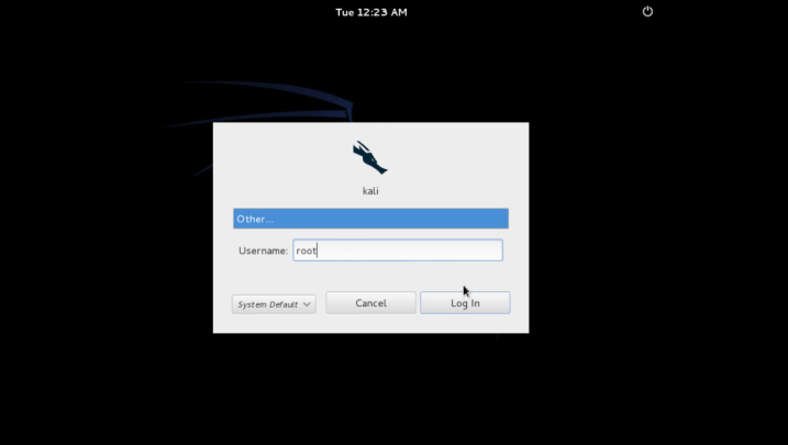 Kali Linux Installation process