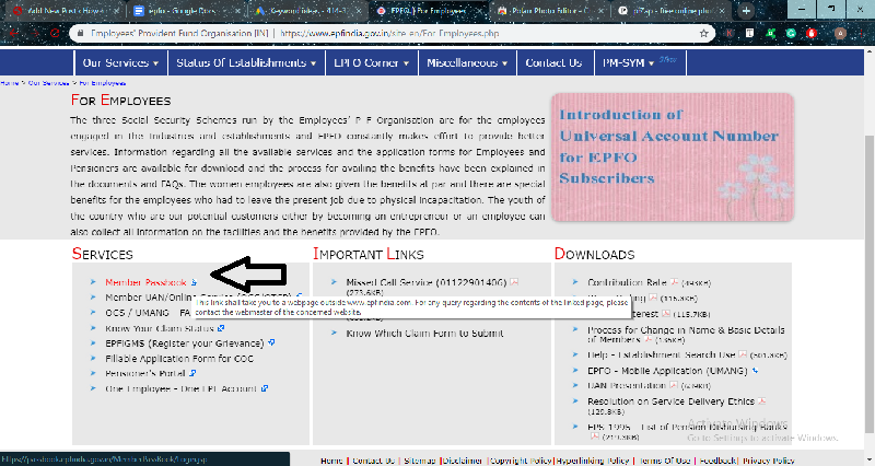 how to check epf passbook online