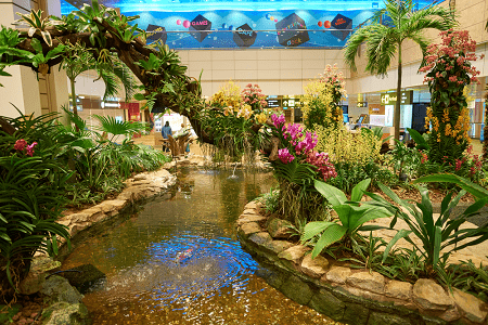 changi-airport-coolest-airport-in-the-world-best-airport-2