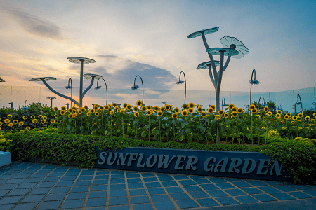 changi-airport-coolest-airport-in-the-world-best-airport-8